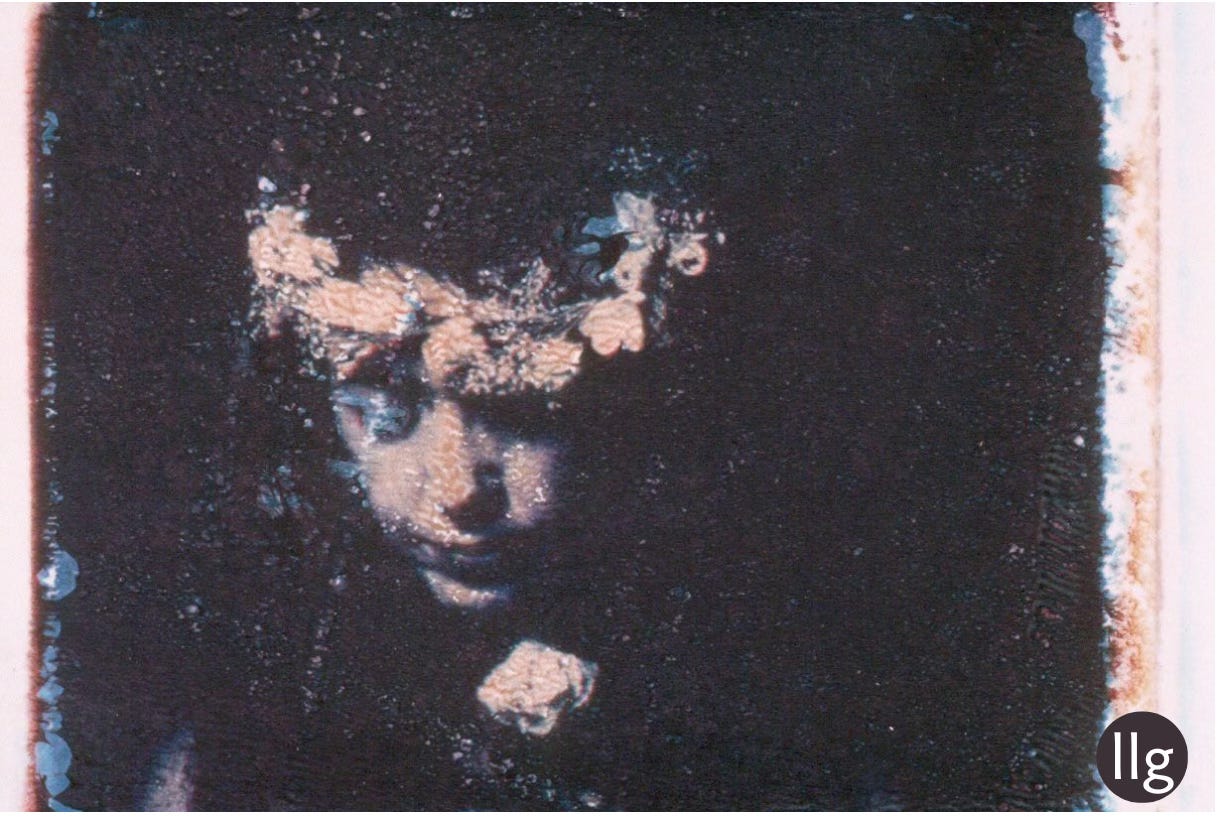 polaroid transfer with dark background person with a single flower