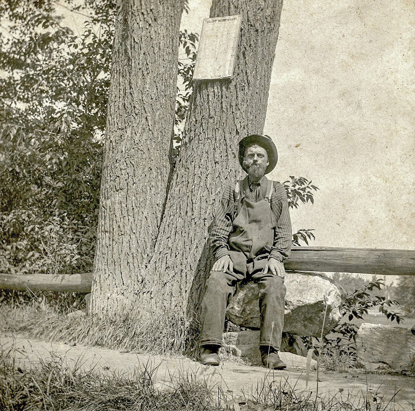 John Augustus Johnson sitting on a rock near a tree