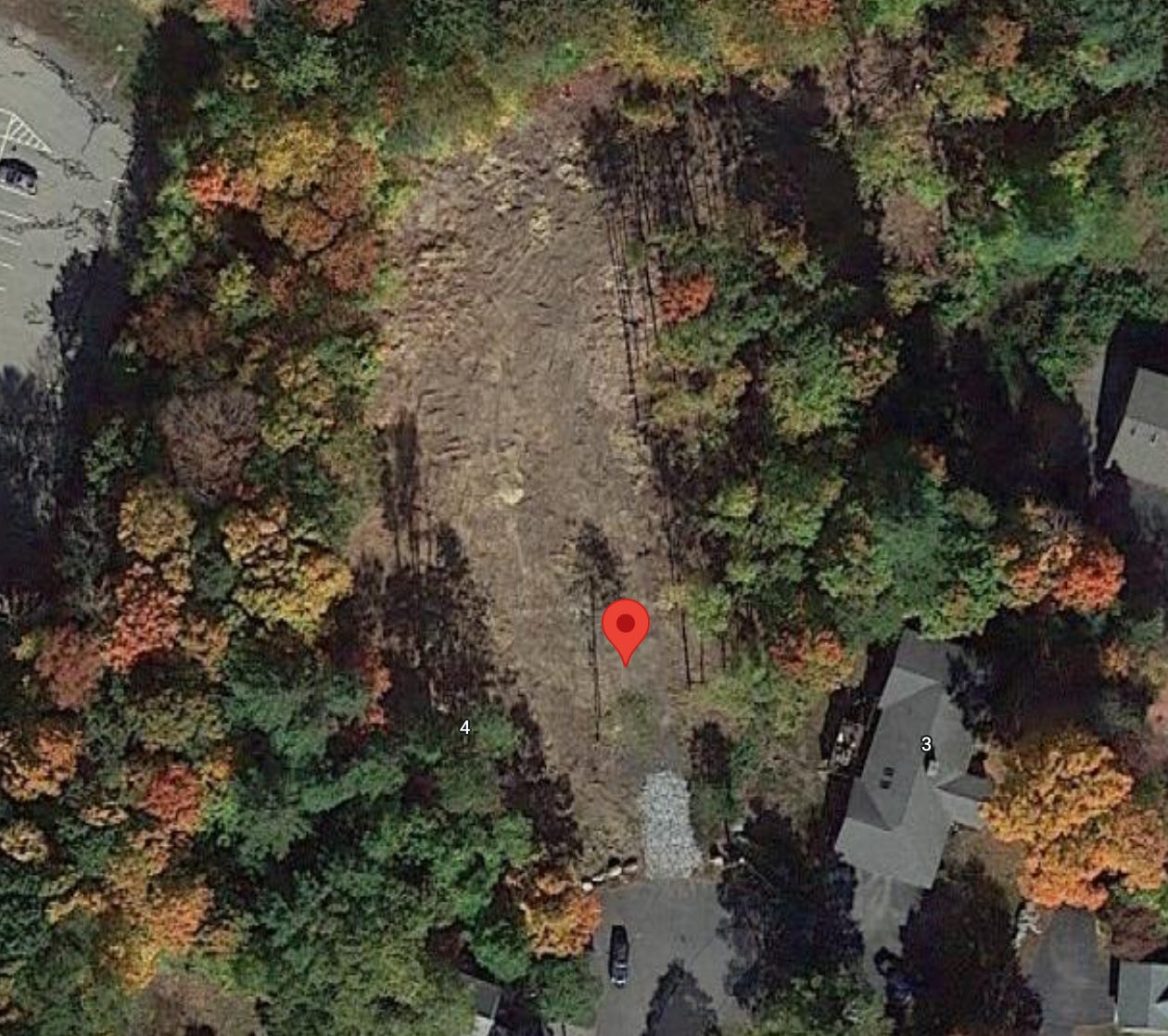 A screenshot of the Google Maps aerial photo of the target location which shows a clearing but not building or flag