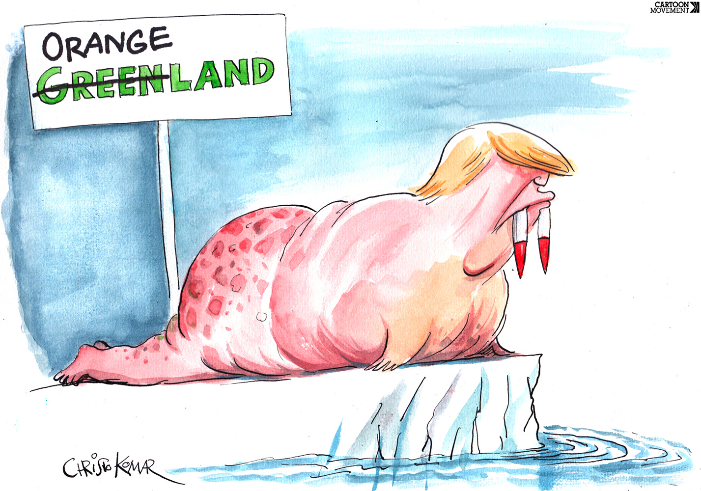 Cartoon showing Donald Trump as a Walrus with missiles for tusks. Behind him a sign say's 'Greenland', but 'Green' has been crossed out and someone has written 'Orange' there.