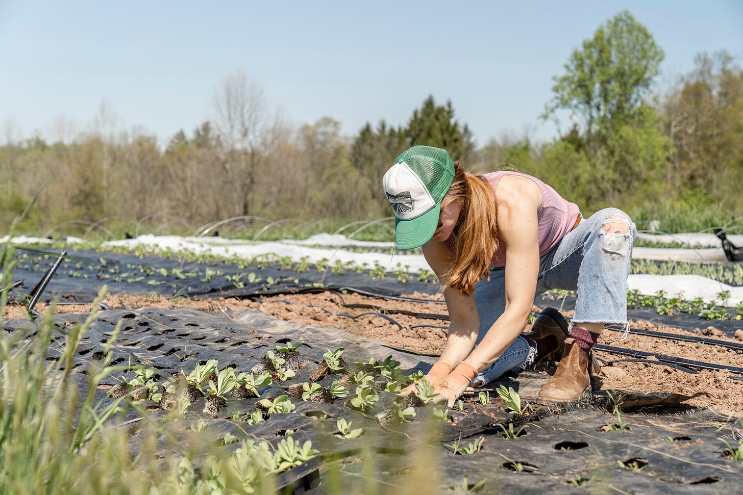 A woman plants lettuces on a small growing site. Credit: Zoe Schaeffer on Unsplash.