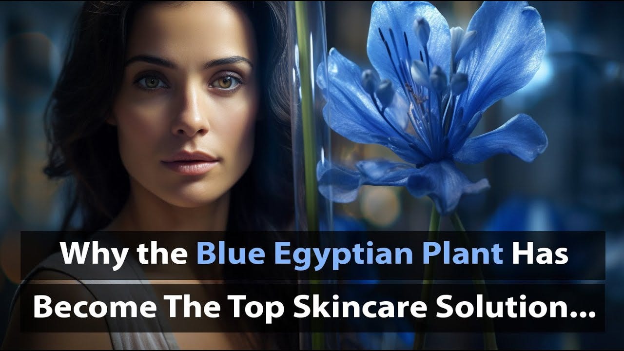 Blue Egyptian Plant for Skin Care and Gut Health