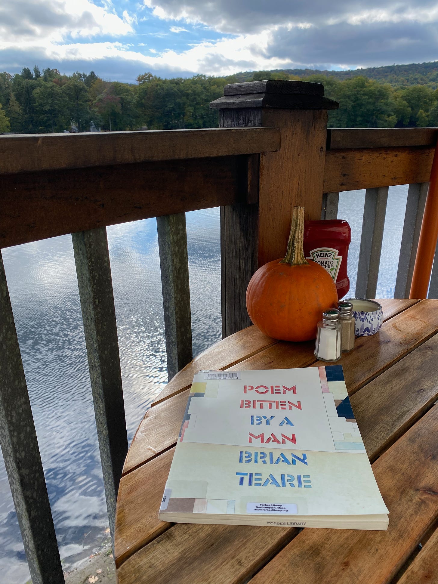 Poem Bitten by a Man on a table on a porch overlooking the sparkling water of Ashfield Lake.