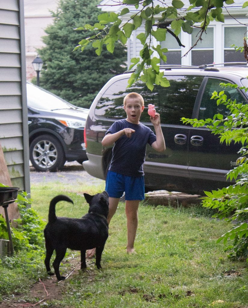 boy and dog