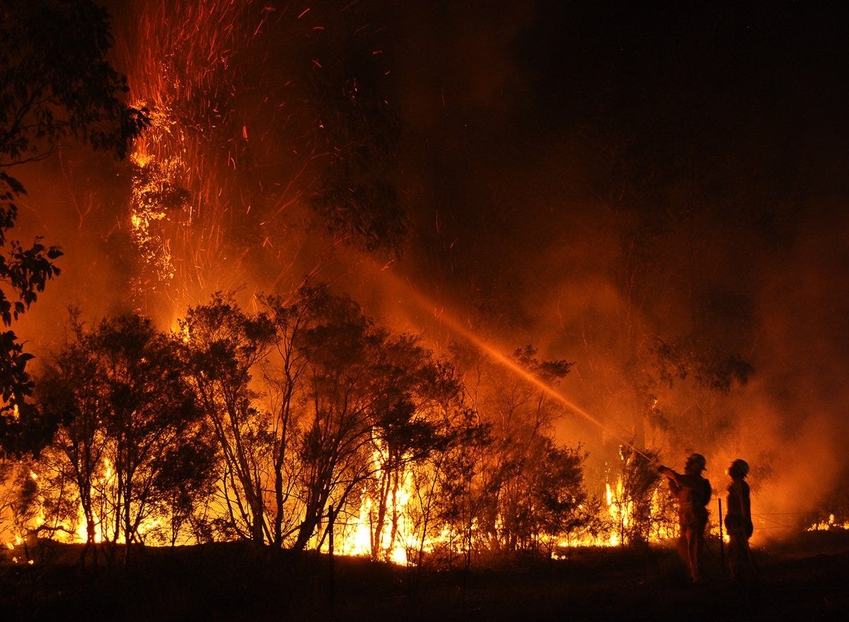 Wildfires