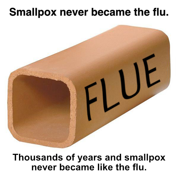 The picture is of a terracotta flue, a part of a chimney, the word flue is written on it spelled F L U E. The caption reads smallpox never became the flu. Thousands of years and smallpox never became like the flu. 