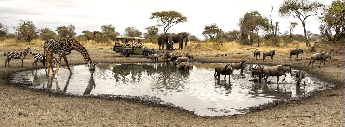 Tanzania in November | Discover Africa Safaris
