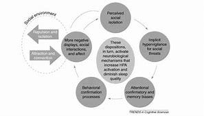 Image result for SOCIAL ISOLATION AND THE BRAIN