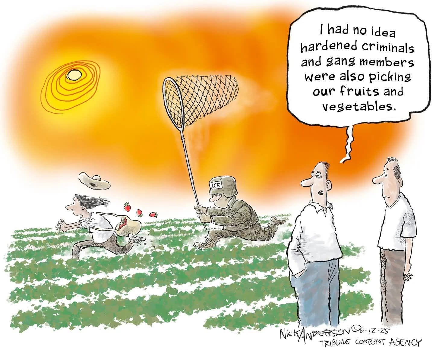 May be pop art of text that says 'I had no idea hardened criminals and gang members were also picking our fruits and vegetables. Nic NictANDEASONO. NDERSON 3B. -12-25 06-12-25 IZ 25 TRIBUNE CONTENT AGENCY'