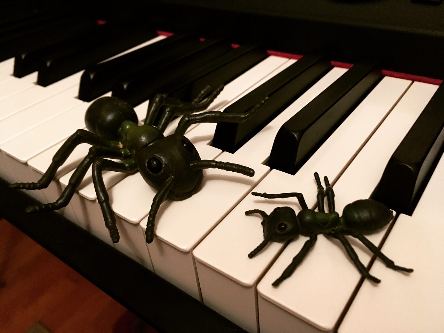 Old plastic ants on a piano keyboard.