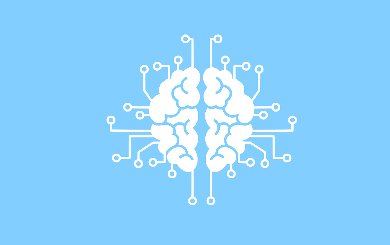 Free machine learning information brain vector