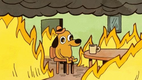 mario ferrer on X: "@GabyotaPM Mande ayuda, licenciada [gif: perro sentado  con taza de café en habitación envuelta en llamas] https://t.co/ROKL7P9uSR"  / X