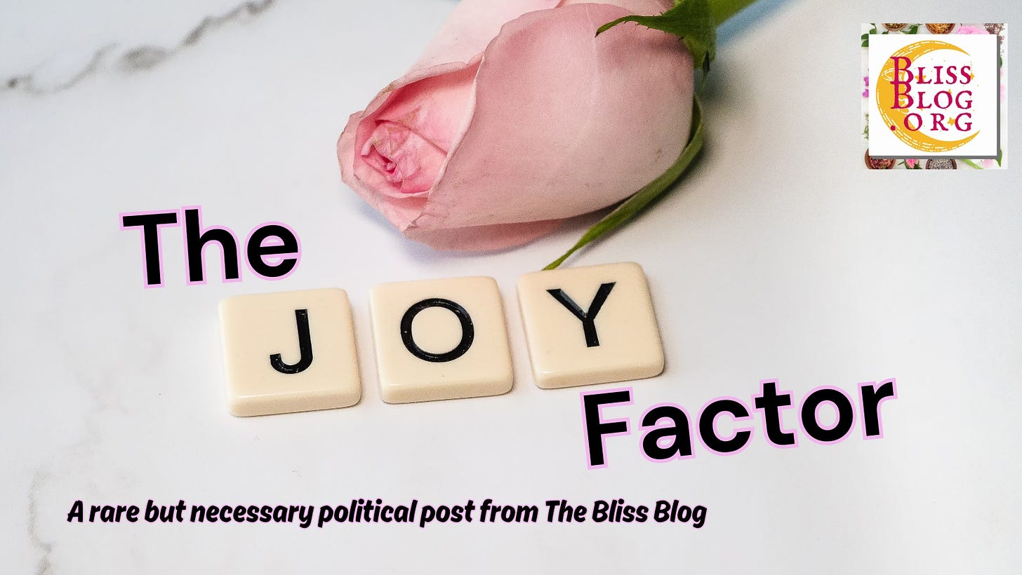 A pink rosebud on a white marble surface with the words, The Joy Factor, and "a rare but necessary political post"