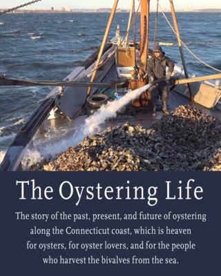The Oystering Life