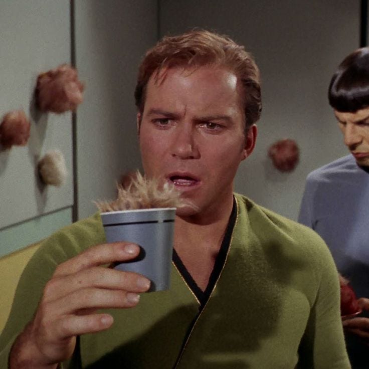 The Trouble with Tribbles!! One of my favorite episodes! | Star trek ...