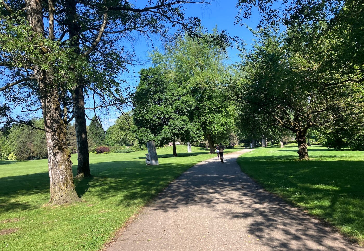 A runner on a wide path alternating between shade and sun