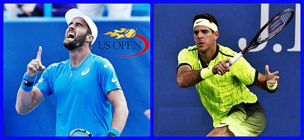 2016 US Open Highlights: Steve Johnson vs Juan Martin del Potro tennis images