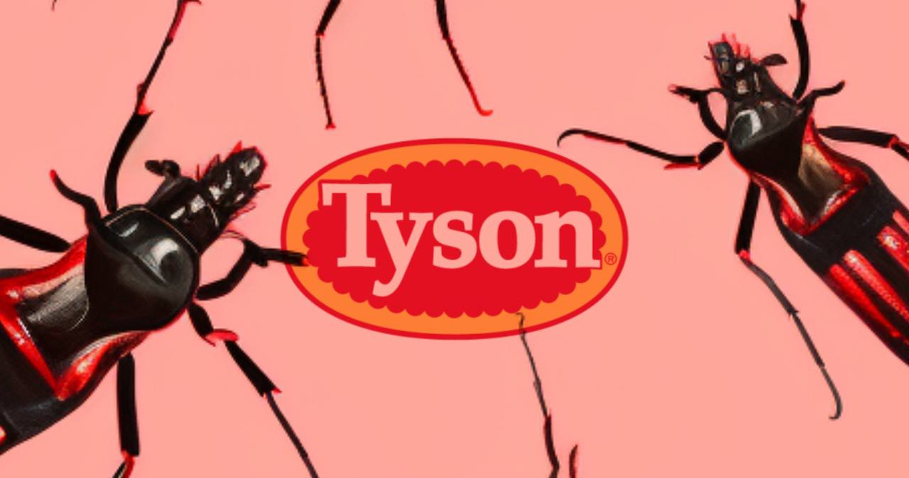 Tyson Foods to bring bug-based protein to US markets after partnering with 'world leader in insect ingredients'