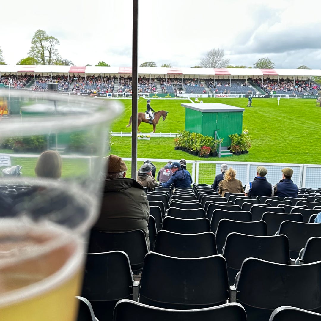 Dressage in the grandstand with a pint of Thatchers 