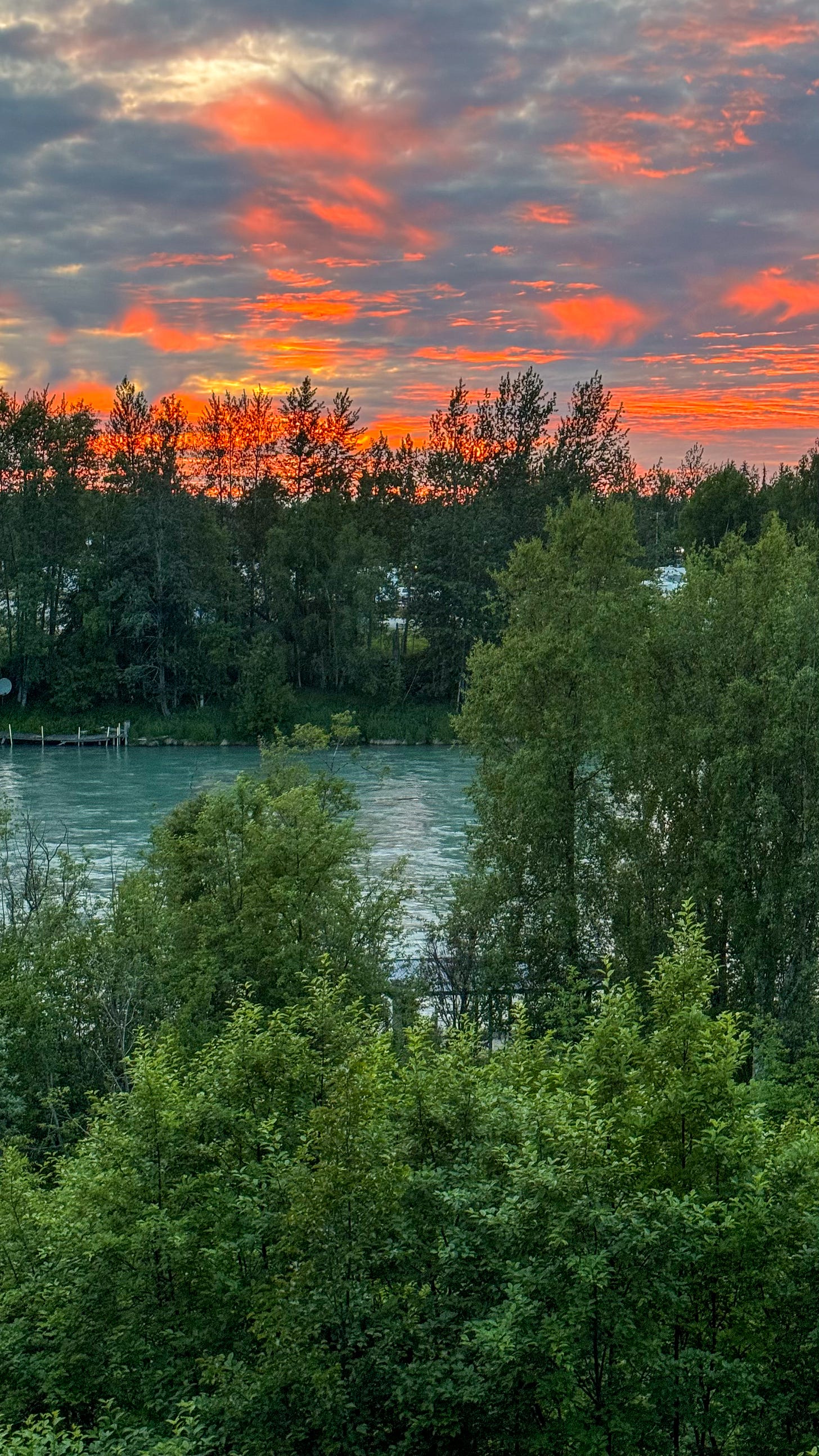 sunset along a river with trees