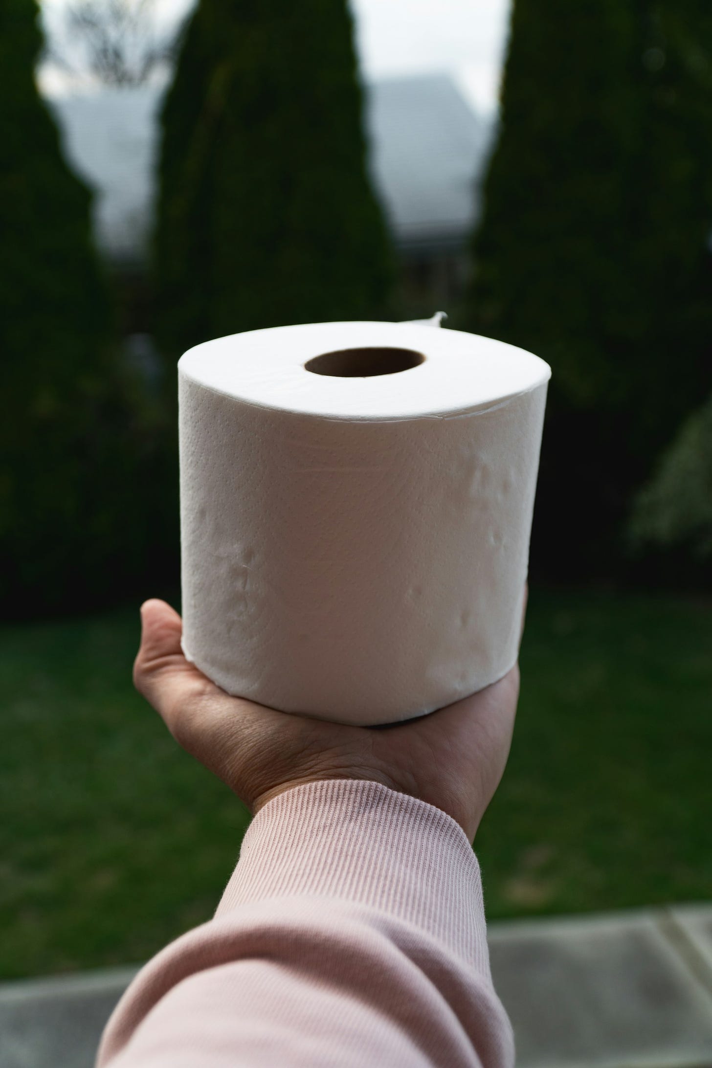 The Toilet Paper Between You and Me