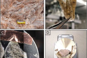 Gypsum’s crystalline facies and sample handling. Images of the studied twinned selenite crystal and of the sample preparation and handling for optical microscopy, SEM-EDX, and LIMS analyses. (A) Smal crystal selenite (SC) and decimeter-sized twinned arrow-head selenite (TS) crystals show the darker re-entrant angle of the crystals (dashed black lines). (B) Large petrographic thin section of the re-entrant angle of the twinned selenite crystal marked in the blue rectangle in (A). It shows very turbid (vTL), turbid (TL) and limpid laminations (LL). (C) Small petrographic thin section of turbid laminae fixed on the LIMS sample holder with copper tape. (D) Gold coated sample on the LIMS sample holder.