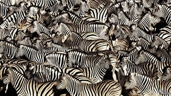 Against the Herd
