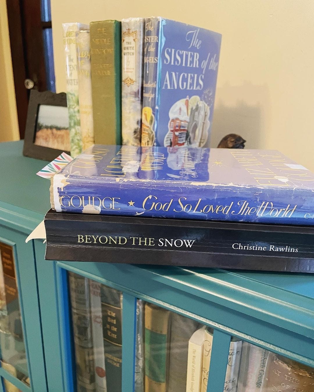 God So Loved the World by Goudge and Beyond the Snow by Christine Rawlins