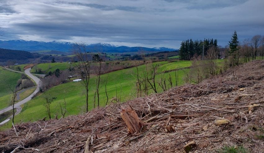 Alrededores de Borres