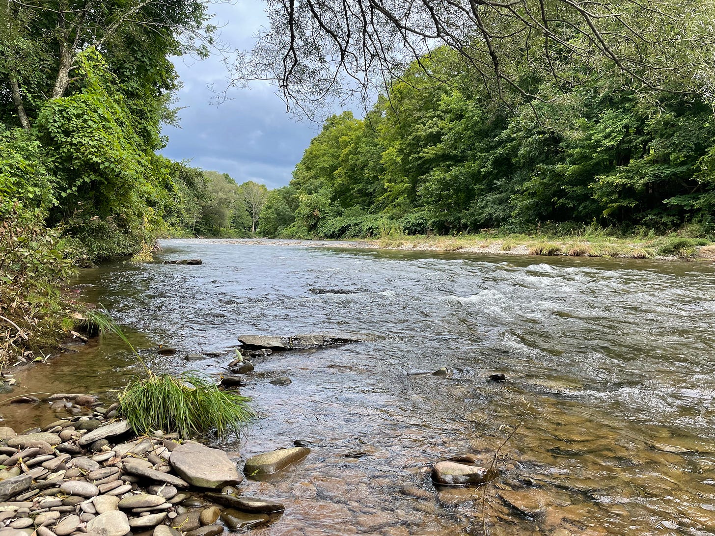 a river with green banks, on an overcast day