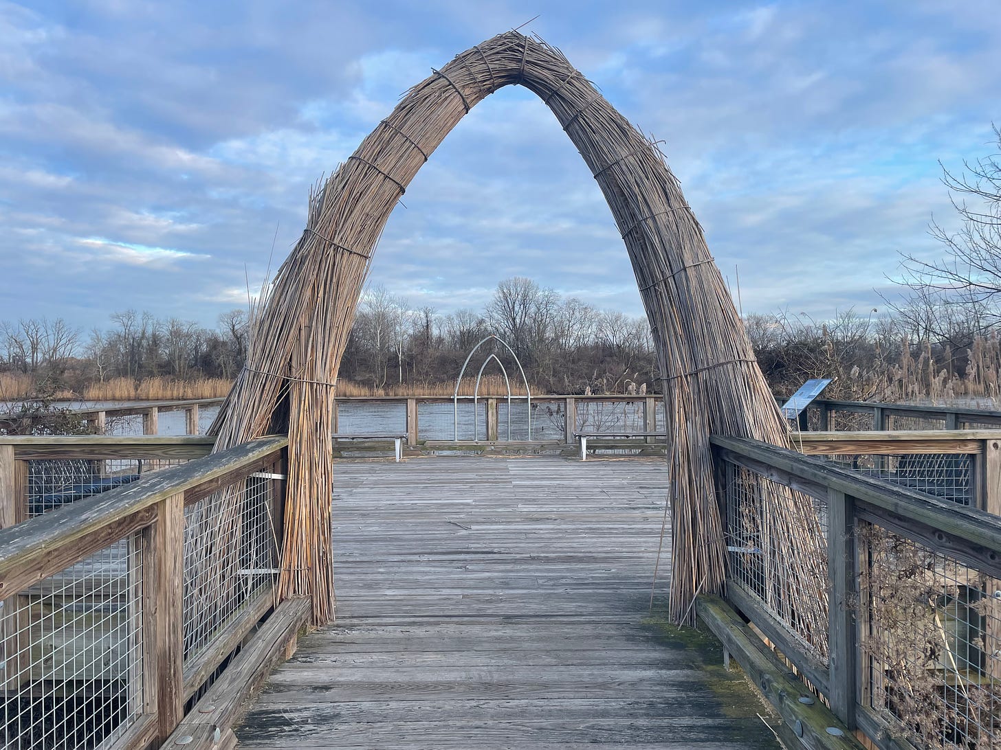 A woven grass arch facing a river on leafless winter's day