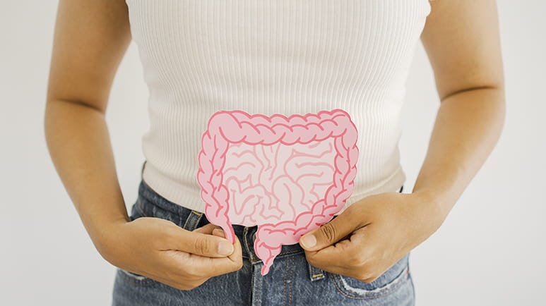 gut microbes influence stress