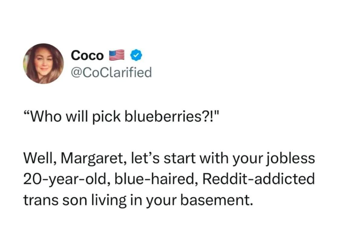 May be an image of 1 person and text that says 'Coco @CoClarified "Who will pick blueberries?!" Well, Margaret, let's start with your jobless 20-year-old, blue-haired, Reddit-addicted trans son living in your basement.'