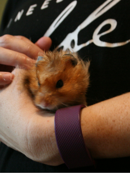 peanut