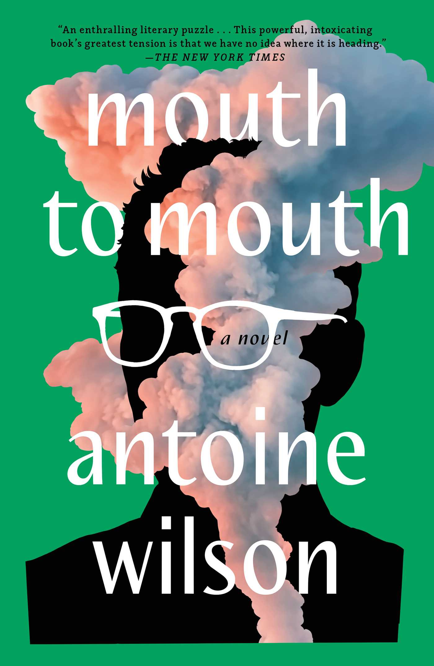 Mouth to Mouth by Antoine Wilson | Goodreads