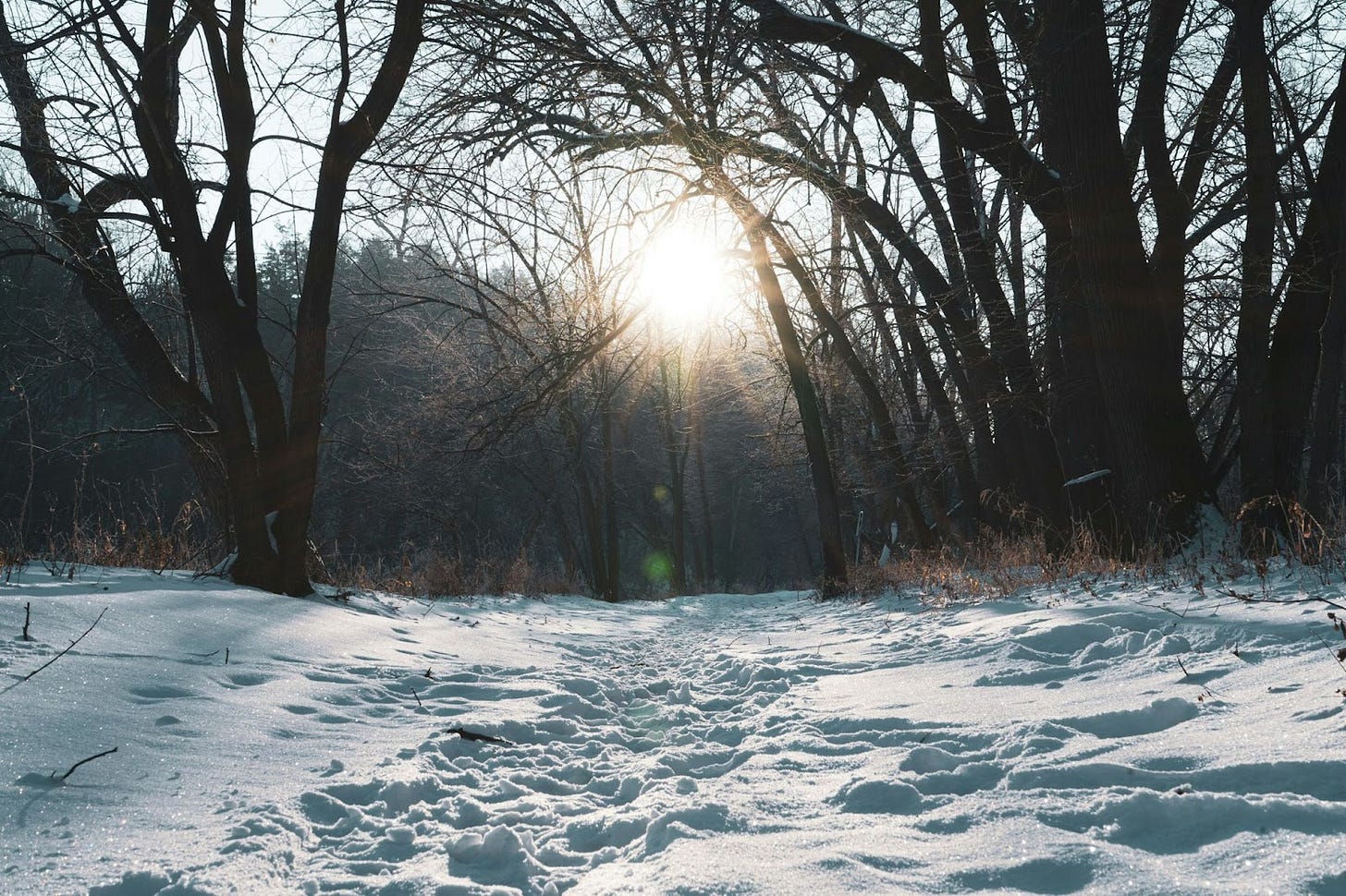 Footprints in deep snow. The sun is center stage, casting a warm light on the ground.