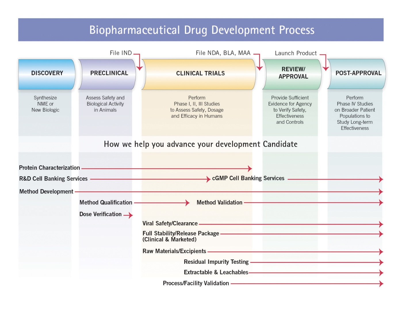 Bio/Pharma Product Testing Services - Eurofins Scientific