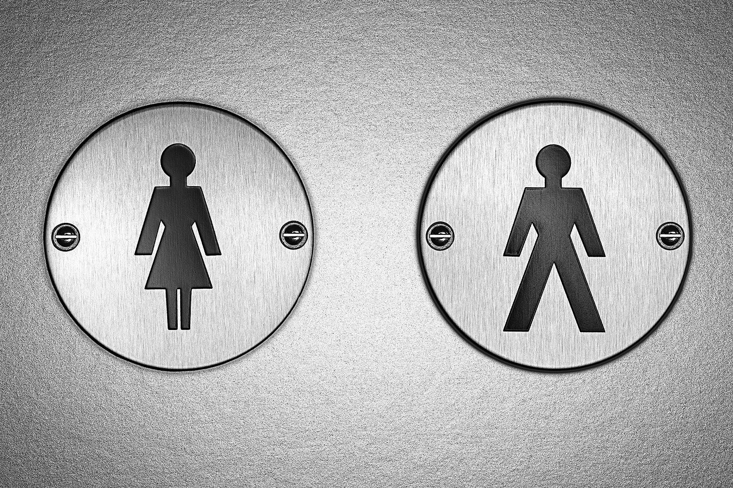 Who's Afraid of Gender-Neutral Bathrooms? | The New Yorker