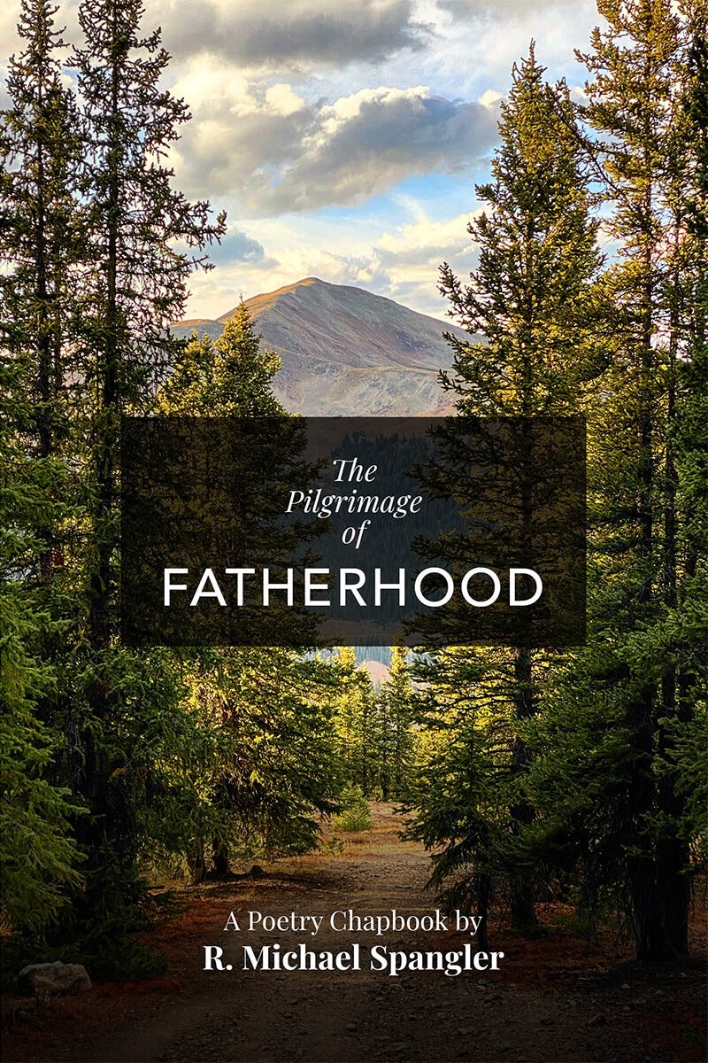 Book cover for The Pilgrimage of Fatherhood