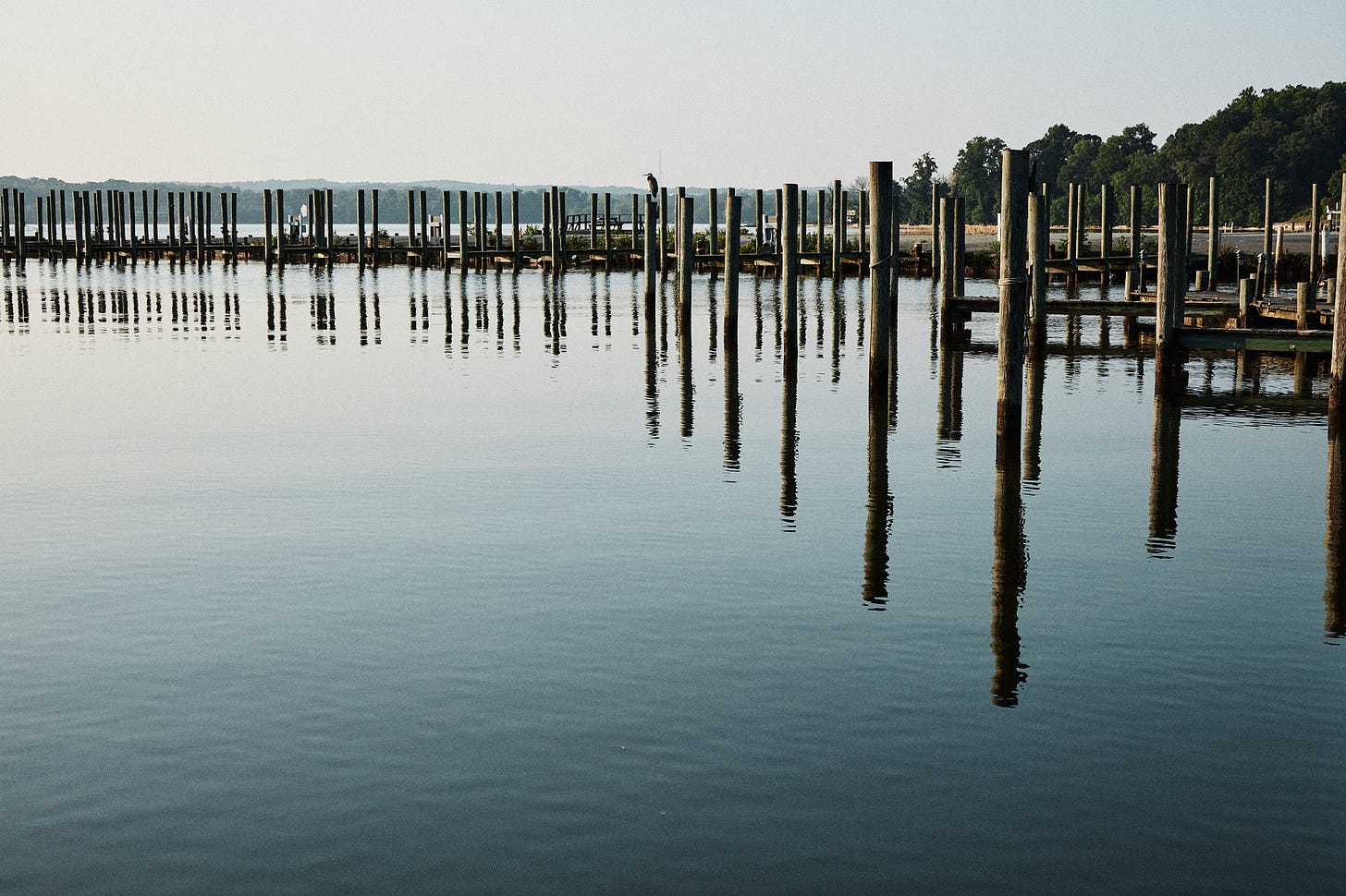 Chesapeake bay with reflections
