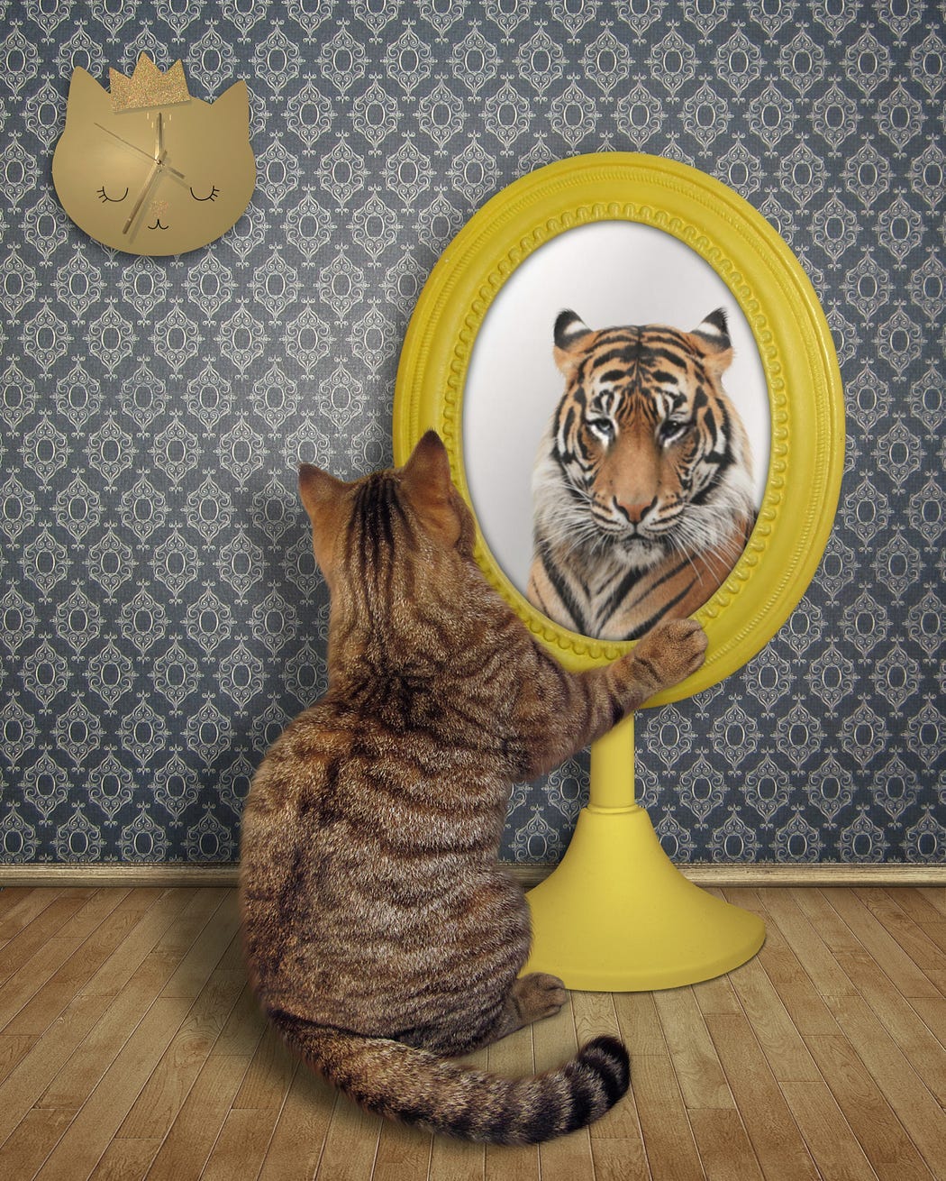 Cat looking into a mirror, seeing a tiger back in the reflection