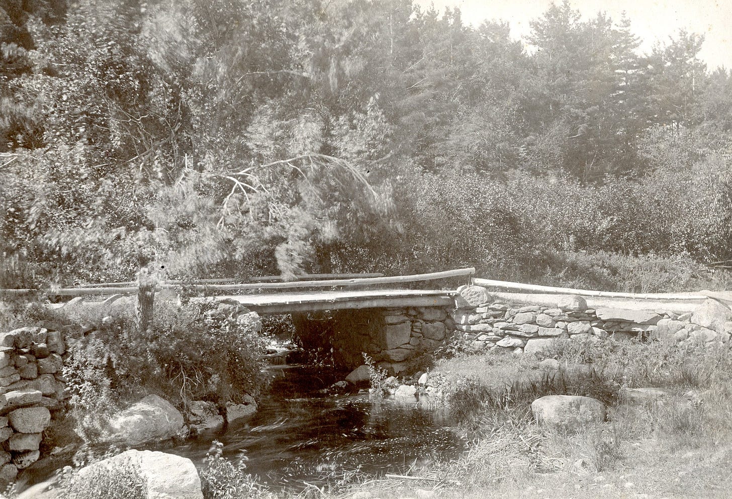 Rustic bridge over stream