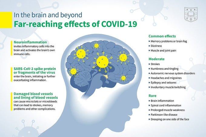 In the brain and beyond
Far-reaching effects of COVID-19
Neuroinflammation
invites inflammatory cells into the
brain and activates the brain's own
immune cells.
SARS-CoV-2 spike protein
or fragments of the virus
enter the brain, initiating or further
exacerbating inflammation.
Damaged blood vessels
and lining of blood vessels
can cause microclots or microbleeds
that can lead to strokes, memory
problems and Other complications.
Common effects
u Memory problems or brain fog
Dizziness
Muscle and joint pain
Moderate
Strokes
u Numbness and tingling
Autonomic nervous system disorders
Headaches and migraines
Epilepsy and seizures
Involuntary muscle twitching
Rare
• Brain inflammation
• Spinal cord inflammation
• Prolonged muscle weakness
• Parkinson-like disease
• Droopingon one side of the face
