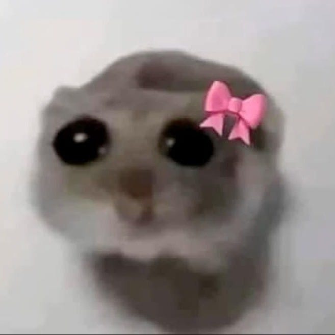 I'm just a girl hamster bow tie : r/MemeTemplatesOfficial