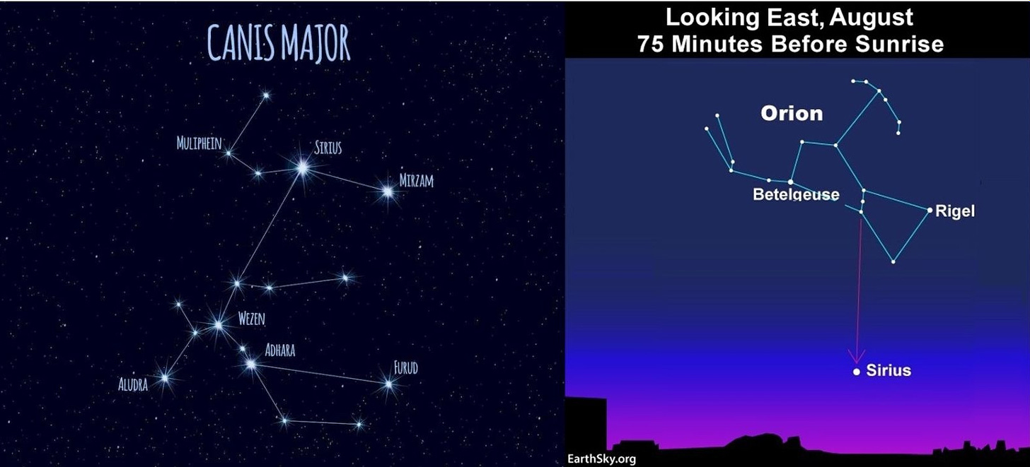 Two night sky maps: the left map shows the constellation Canis Major and identifies the location of the brightest star, Sirius; the map on the right shows how to locate Sirius in relation to the Constellation Orion’s Belt