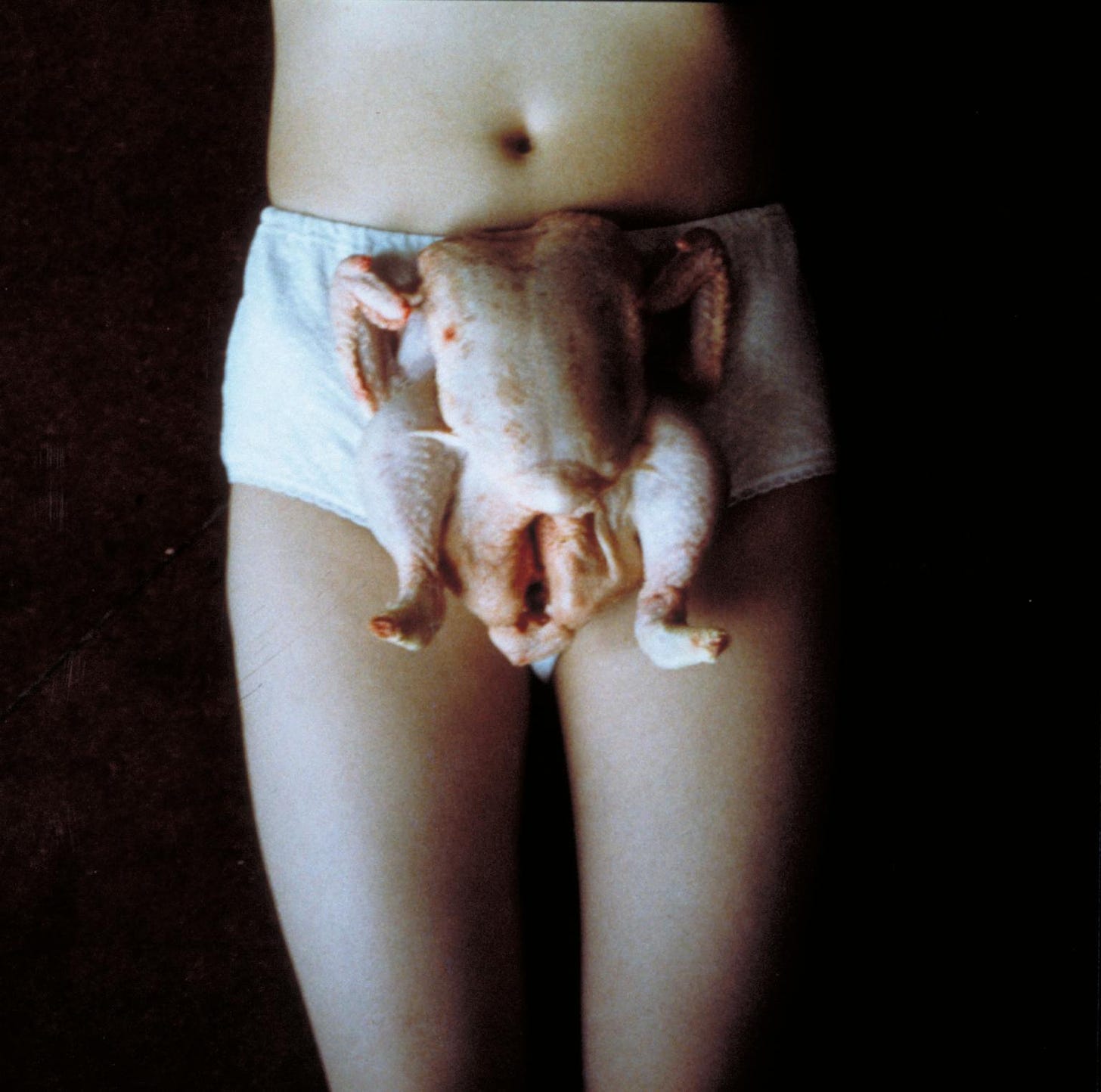 Chicken Knickers', Sarah Lucas, 1997 | Tate