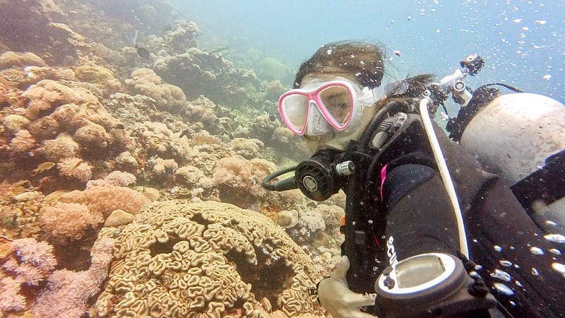 Image of a girl scuba diving with corals in the background