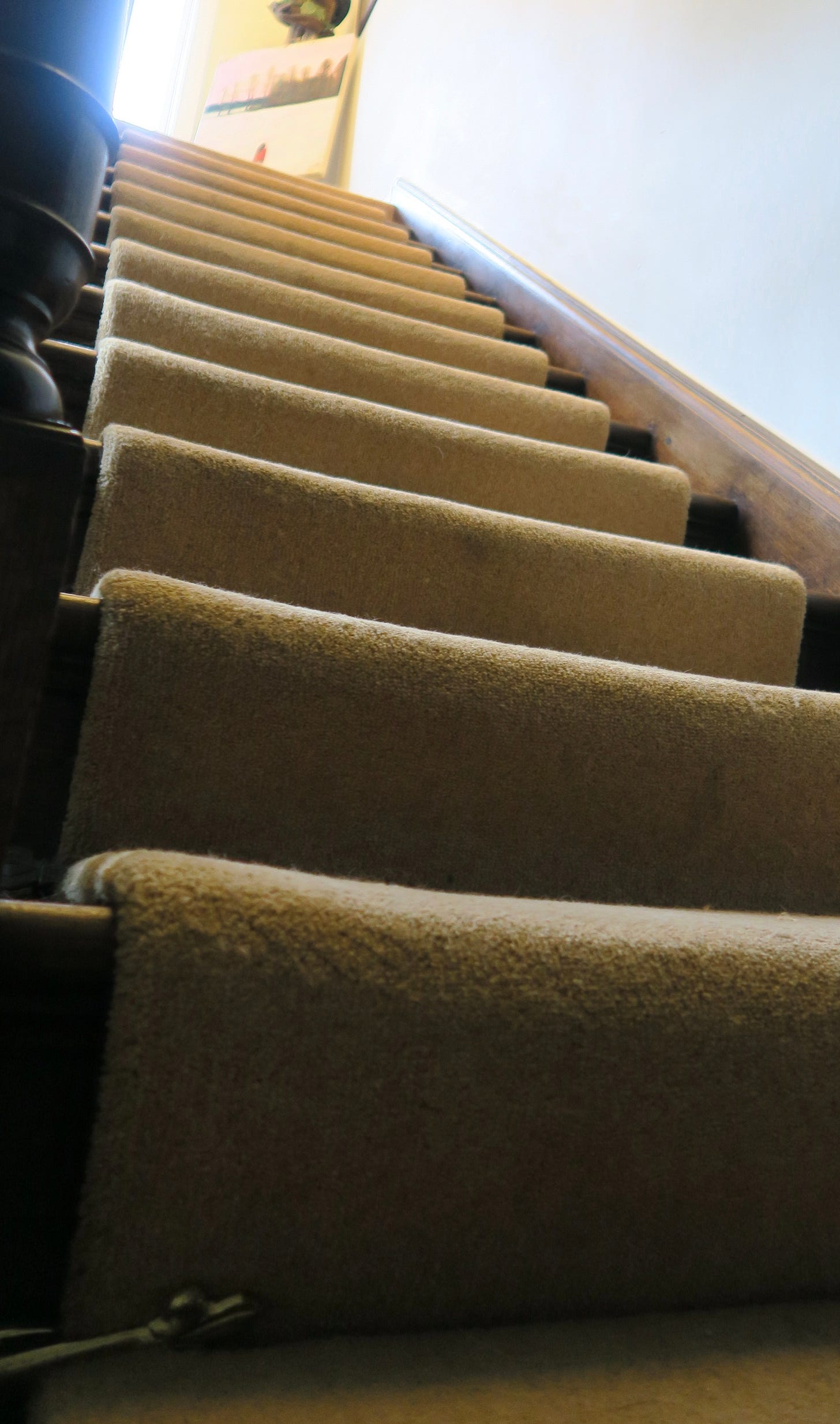 Picture of stairs looking very high, beige wool runner up the centre 