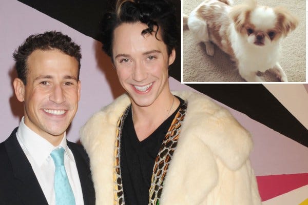 johnny weir victor voronov celebrity divorce gossip 2014 with beaten puppy