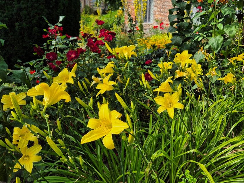 The Cottage Garden at Sissinghurst Castle copyright Anne Wareham